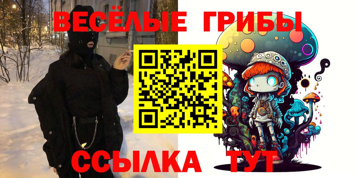 Галлюциногенные грибы GOLDEN TEACHER  Вход с VPN  Заволжье  Галлюциногенные грибы MAGIC MUSHROOMS 