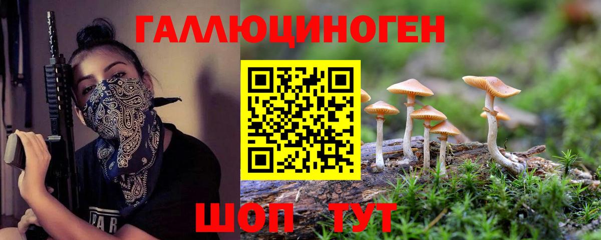 Псилоцибиновые грибы прущие грибы Заволжье